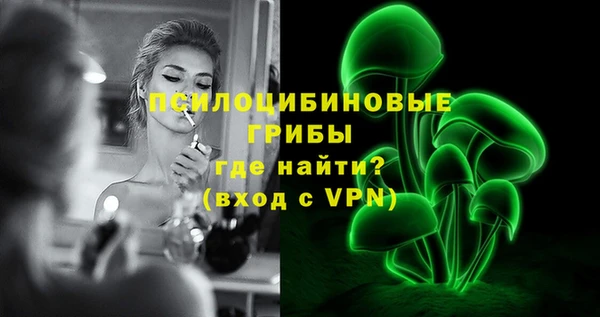 скорость Вяземский