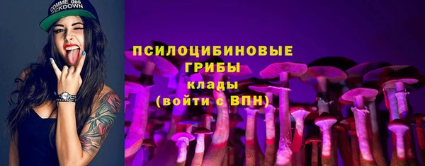 гашик Вязники