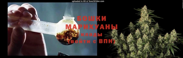 молекула духа Вяземский