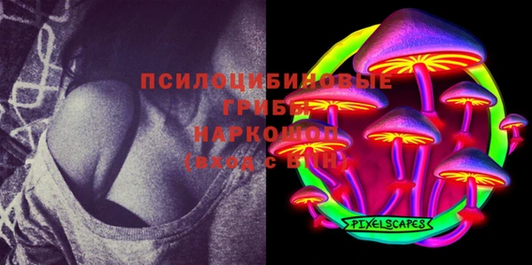 скорость Вяземский