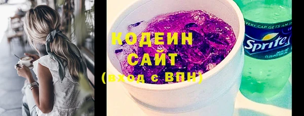 скорость Вяземский