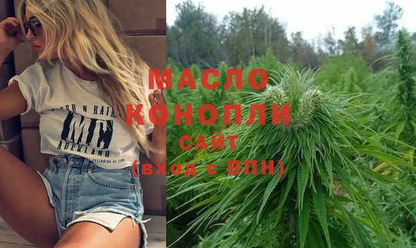 скорость Вяземский